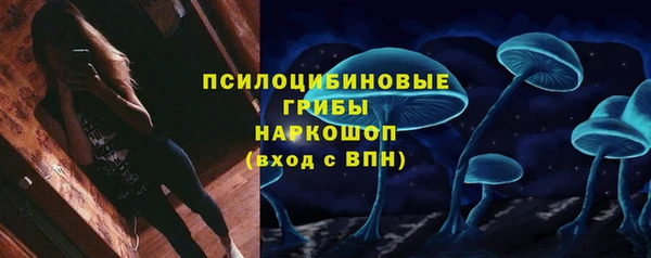 гашик Осташков