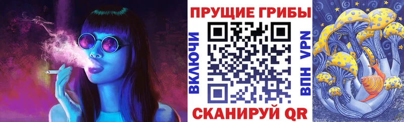 Псилоцибиновые грибы Magic Shrooms  кракен рабочий сайт  Тимашёвск  купить  